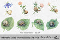 Adorable Snails with Blossoms and Fruit Clipart Bundle