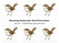 Charming Little Brown Bird Clipart Bundle