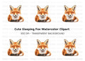 Sleeping Fox Head Clipart Bundle
