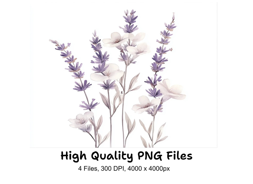 Lavender Clipart Bundle