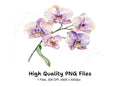 Elegant Orchid Clipart Bundle