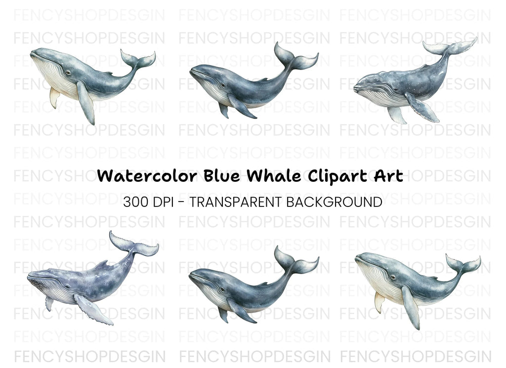 Humpback Whale Clipart Bundle