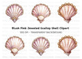Pink Seashells with Gold Gem Clipart Bundle