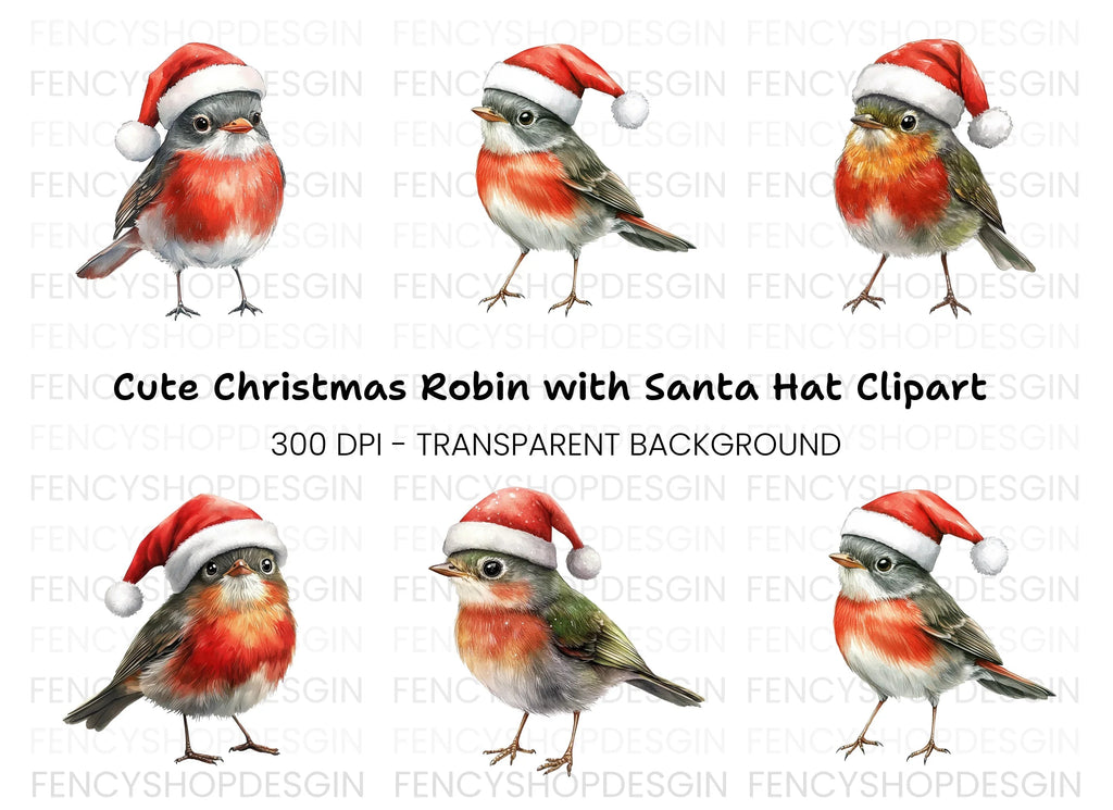 Christmas Robin Birds Clipart Bundle