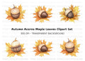 Autumn Acorns and Maple Leaves Clipart Bundle
