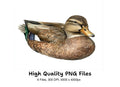 Realistic Mallard Duck Clipart Bundle