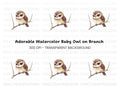 Cute Owl on Branch Clipart Bundle