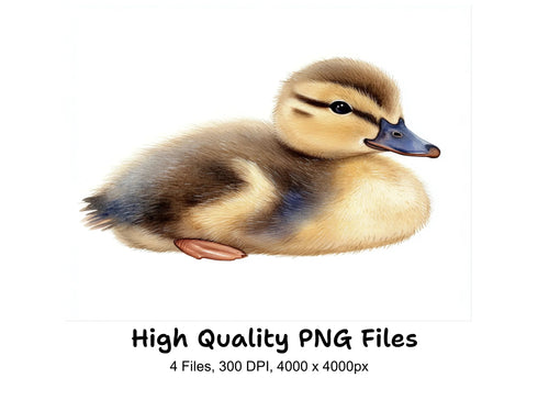 Adorable Duckling Clipart Bundle