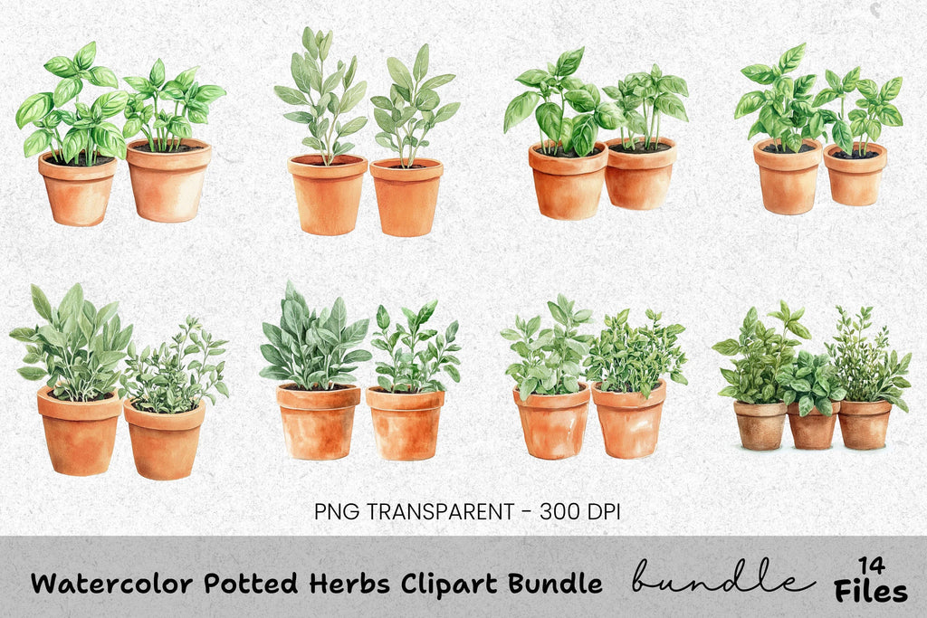 Potted Herbs Clipart Bundle