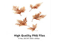 Autumn Leaves Clipart Bundle