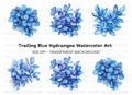 Blue Succulent and Leaf Clipart Bundle