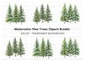 Pine Tree Forest Clipart Bundle