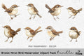 Brown Wren Bird Clipart Bundle