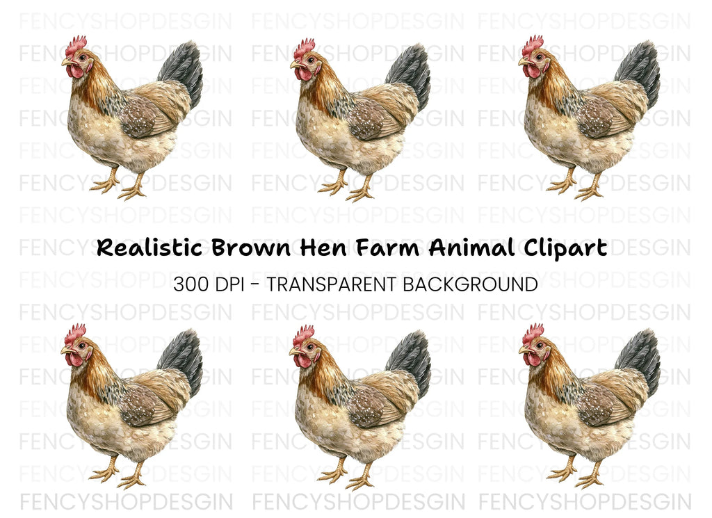 Chicken Illustration Clipart Bundle
