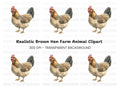 Chicken Illustration Clipart Bundle
