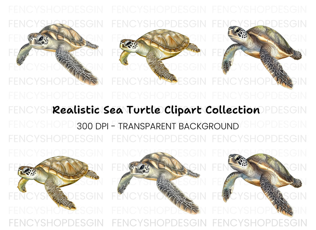 Green Sea Turtle Clipart Bundle