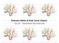 Realistic Coral Reef Graphic Clipart Bundle
