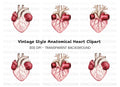 Detailed Human Heart Anatomy Clipart Bundle
