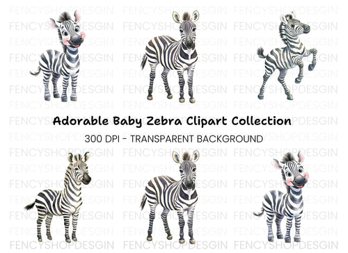 Adorable Zebra Clipart Bundle
