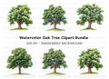 Lush Green Tree Clipart Bundle