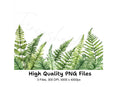 Fern Border Clipart Bundle