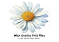 Daisy Flower Clipart Bundle
