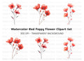 Delicate Red Flowers Clipart Bundle