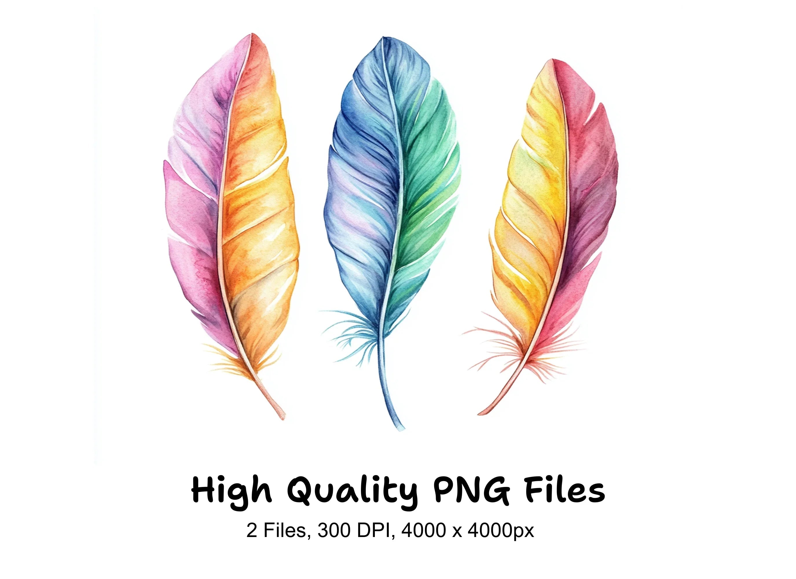 Vibrant Feather Clipart Bundle