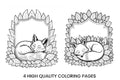 Sleeping Fox Autumn Coloring Books