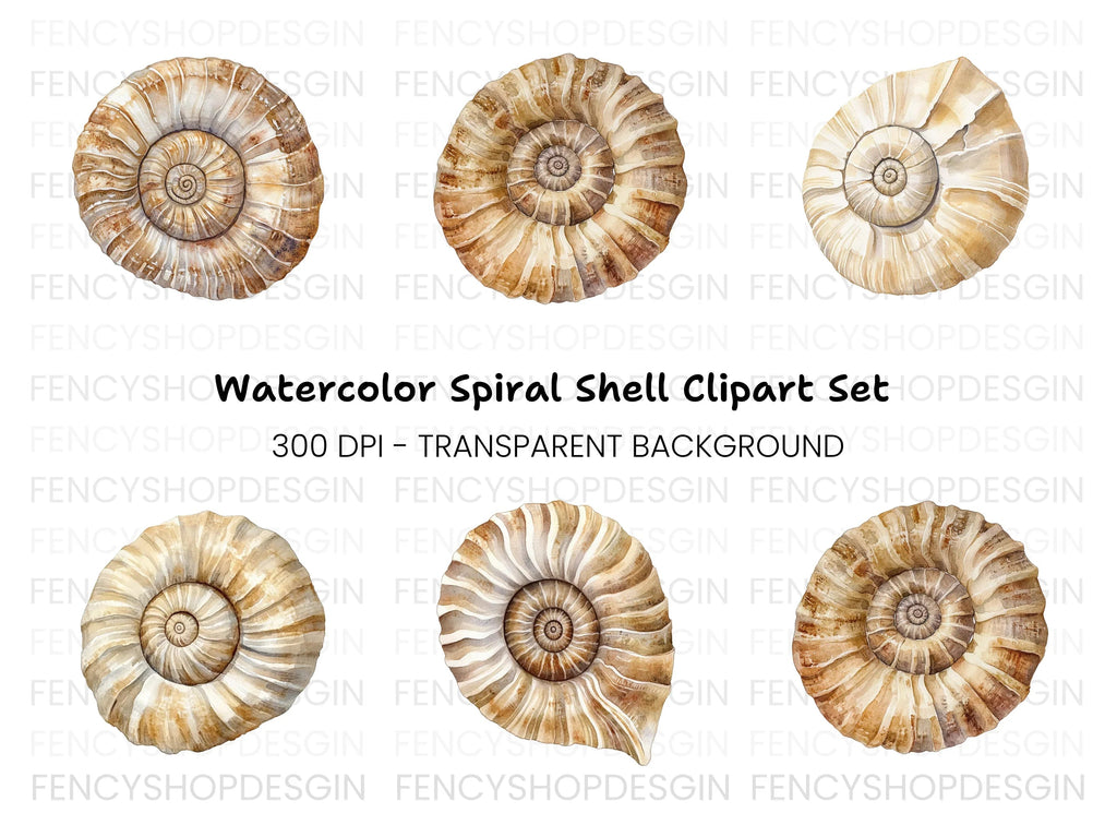 Ammonite Fossil Shell Clipart Bundle