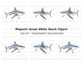 Realistic Shark Clipart Bundle