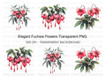 Fuchsia Flower Clipart Bundle