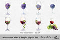 Wine Grapes Clipart Bundle