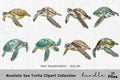 Realistic Sea Turtle Clipart Bundle