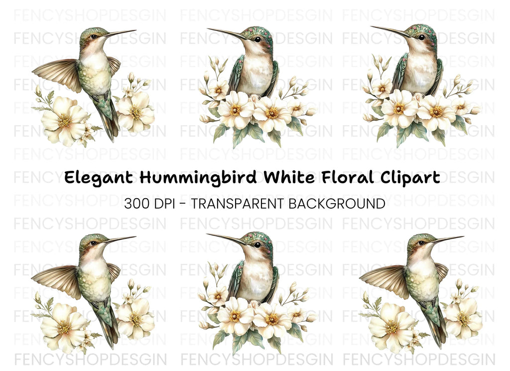 Hummingbird with White Flowers Clipart Bundle