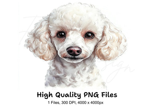 Adorable Poodle Puppy Clipart Bundle