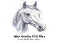 Beautiful White Horse Head Clipart Bundle
