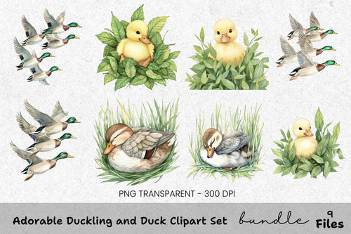 Adorable Duckling and Duck Clipart Bundle