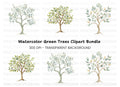 Tree Clipart Bundle