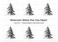 Winter Pine Tree Clipart Bundle