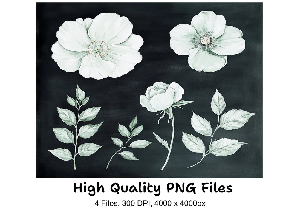 Elegant White Floral Clipart Bundle