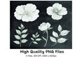 Elegant White Floral Clipart Bundle