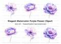Elegant Purple Peony Flower Clipart Bundle