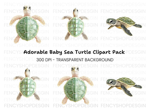 Adorable Baby Sea Turtle Clipart Bundle
