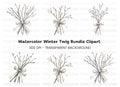 Winter Twig Bouquets Clipart Bundle