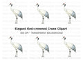 Elegant Red Crowned Crane Clipart Bundle
