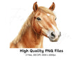 Detailed Horse Head Portrait Clipart Bundle