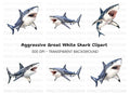 Aggressive Shark Jaws Clipart Bundle
