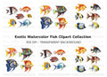 Vibrant Tropical Fish Clipart Bundle