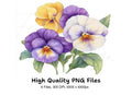 Vibrant Pansy Clipart Bundle